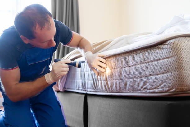 Best Bed Bug Extermination  in Warren, IL